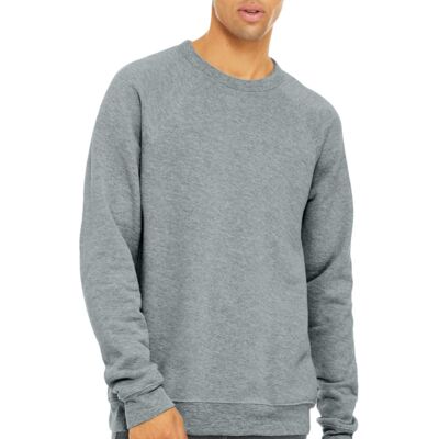 Unisex Sponge Fleece Raglan Sweatshirt Thumbnail
